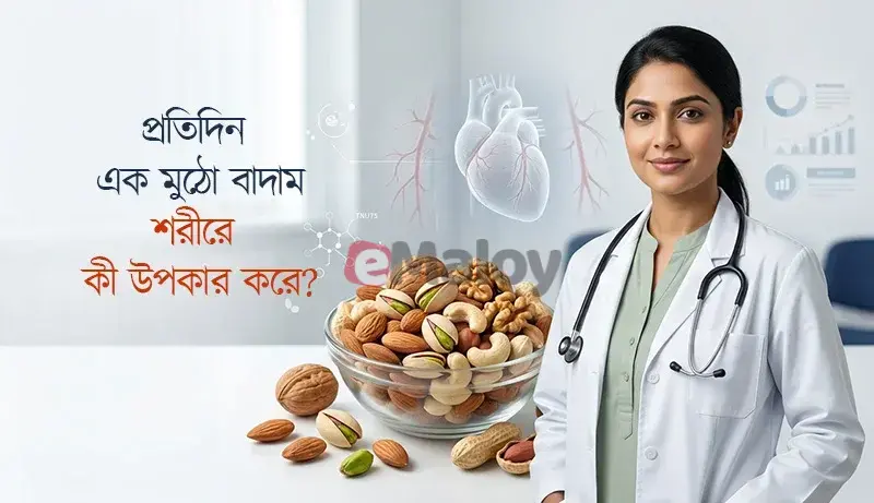 প্রতিদিন এক মুঠো বাদাম কেন খাবেন? জেনে নিন কোন বাদাম কতটা উপকারী ও কতটুকু খাওয়া উচিত