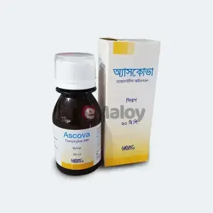 Ascova 60ml