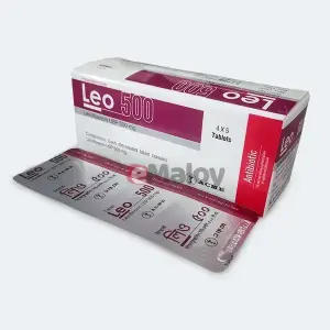 Leo 500