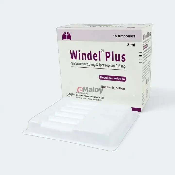 Windel Plus