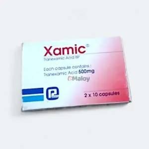 Xamic 500